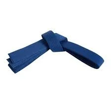 blue belt karate.jpg