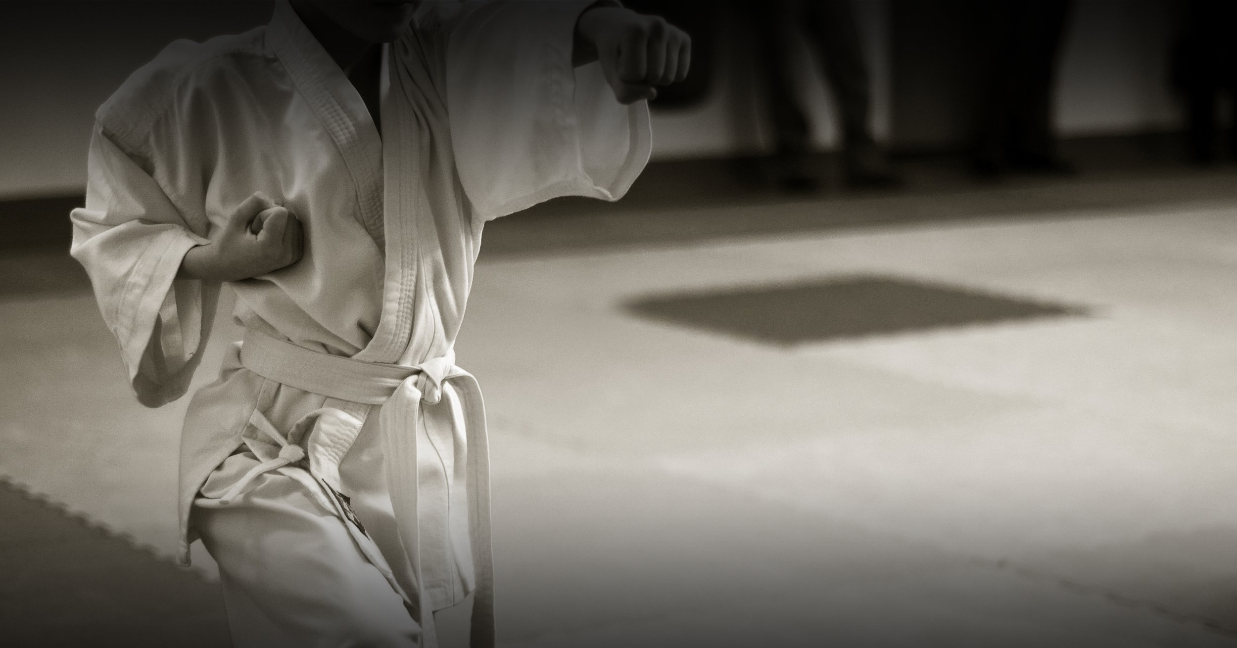 PRIVATE Coaching - Karate, Kickboxing, Self-Defence & More!