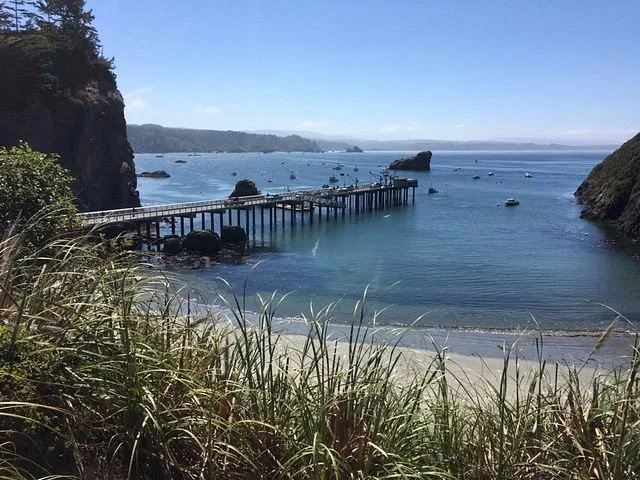 Humboldt State University in Arcata, California