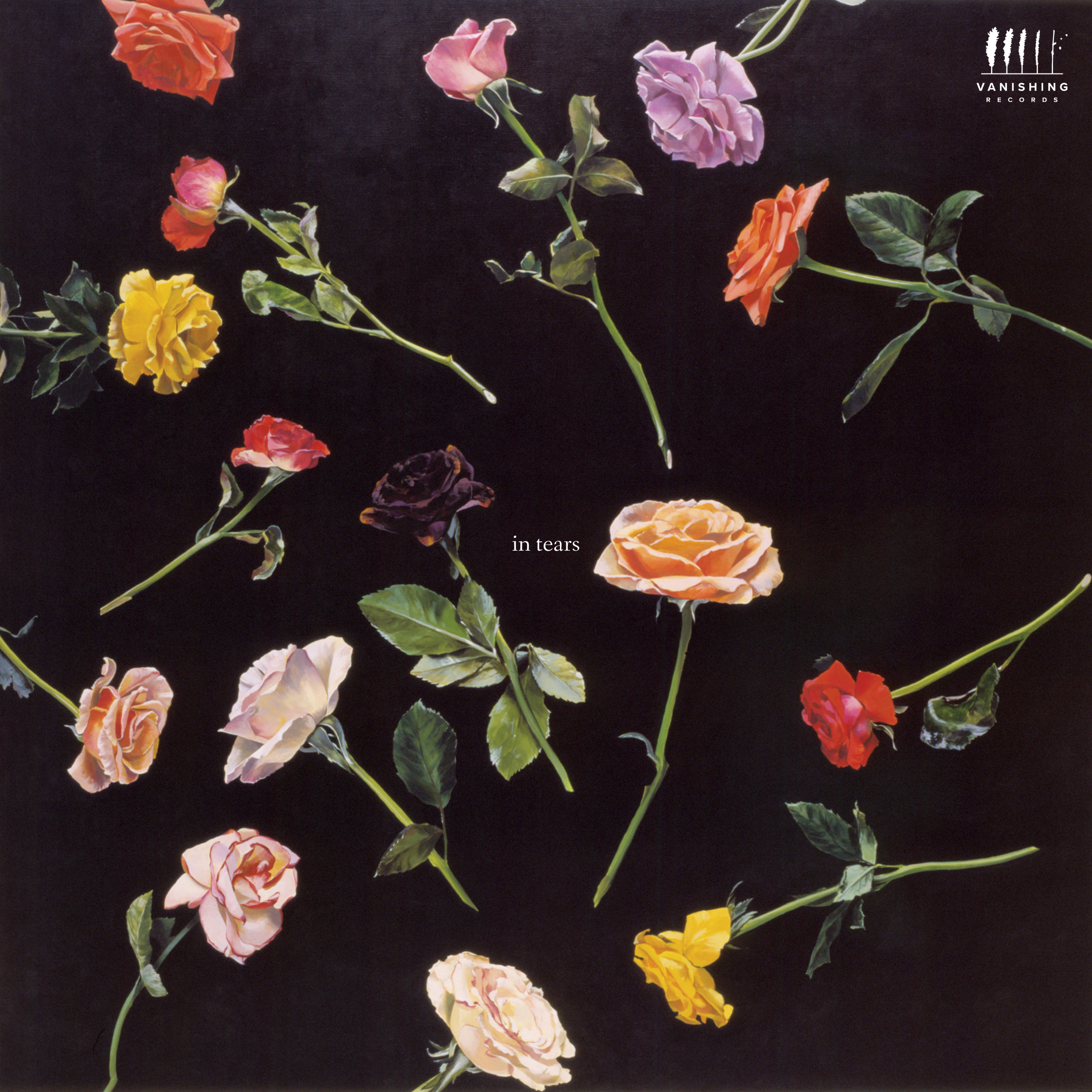 in tears is an album recorded and produced by pianist Igor Lipinski featuring the music of Leoš Janáček including 1.X.1905, In the Mists, and On an Overgrown Path—a piano cycle written after the death of Janáček’s daughter, Olga.