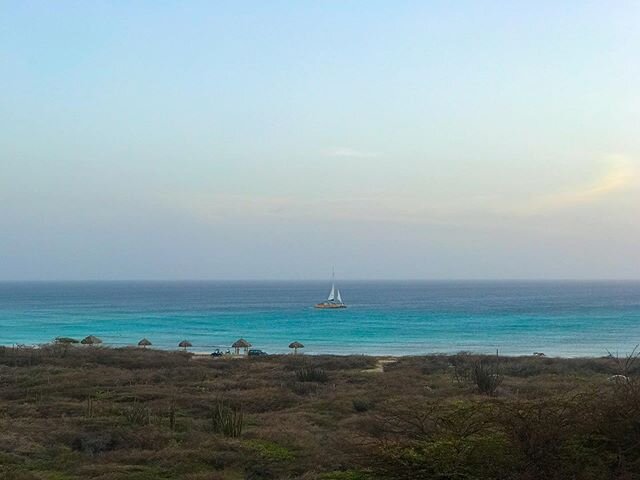 Happy Earth Day! I really wish we could be back in Aruba where we went for our honeymoon! Wishing everyone a thoughtful day and I hope we all come out of this more aware and more stimulated to make a difference for others and the world around us. We 