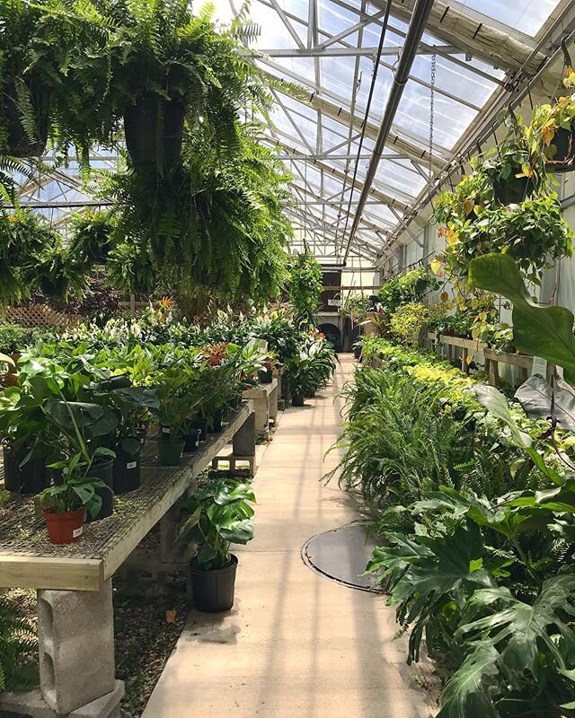 The Great Big Greenhouse and Nursery in Midlo is wonderful. They have such a great selection of plants, planters, and anything else you might need for your garden or floral display. If you&rsquo;re opting for a more DIY route when it comes to your fl