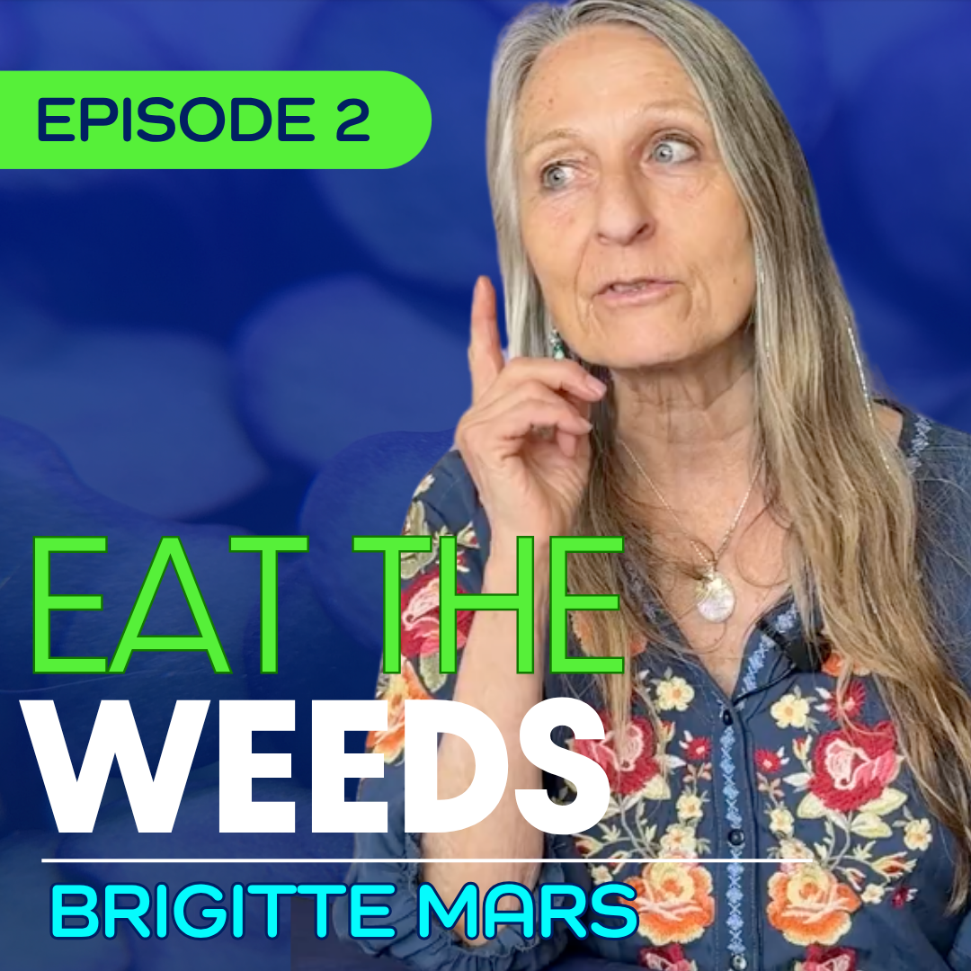 #2 - Brigitte Mars - The Medicine in Your Backyard