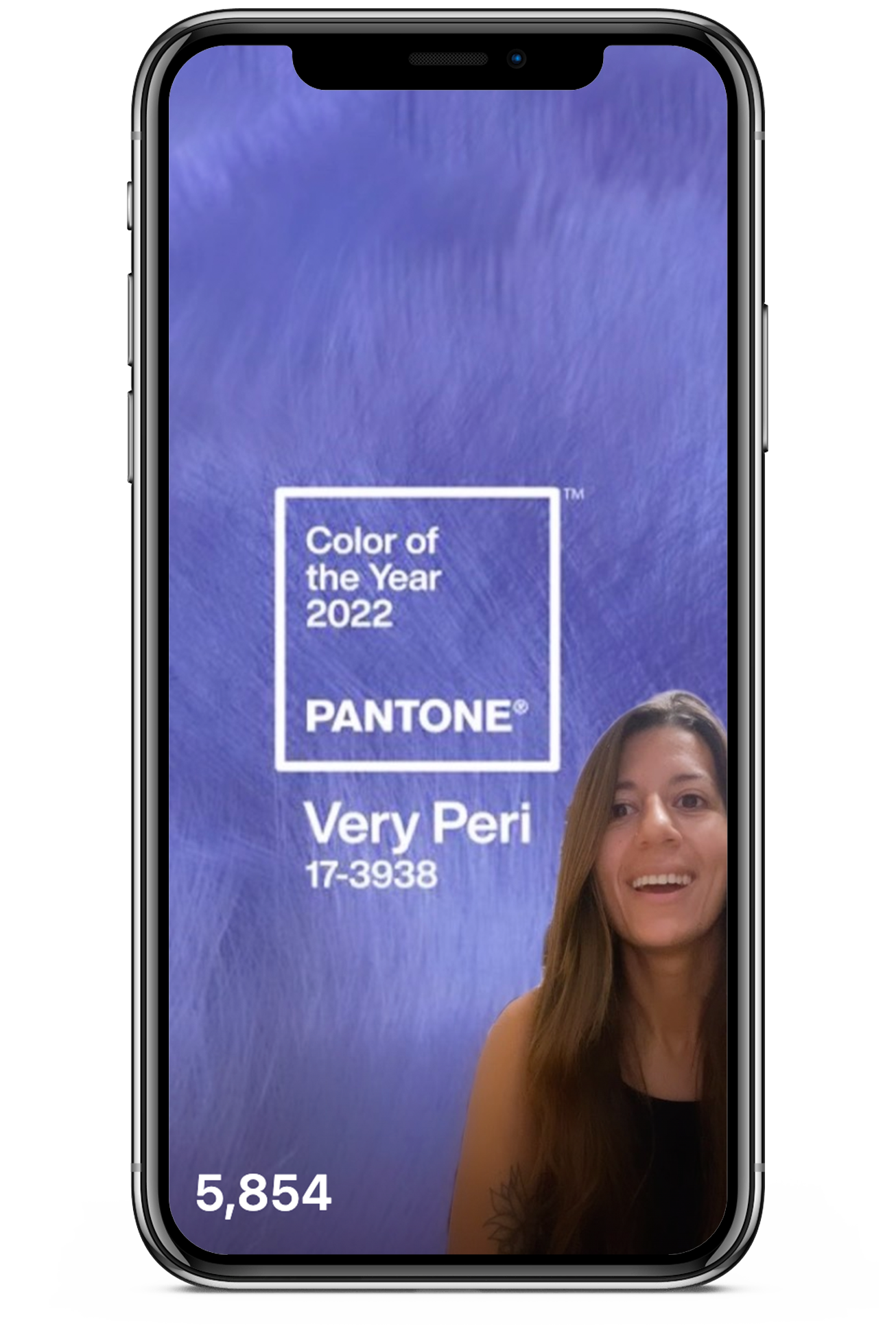 Client: Black Cat Design House