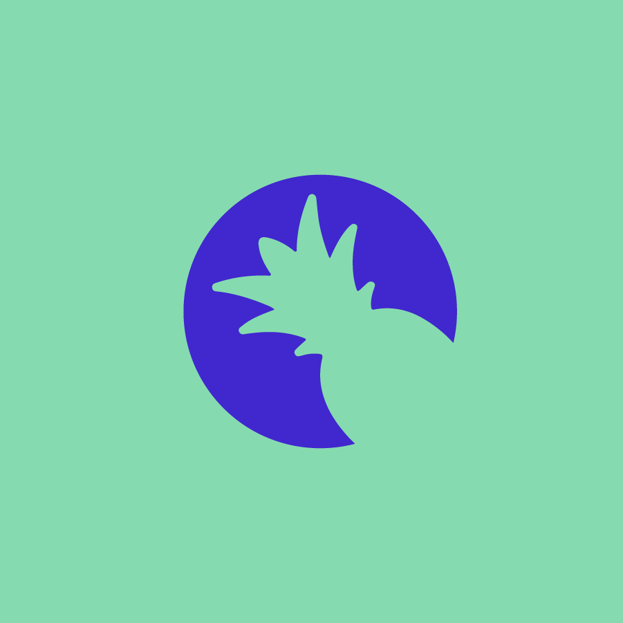 InstagramLaunch-03.png