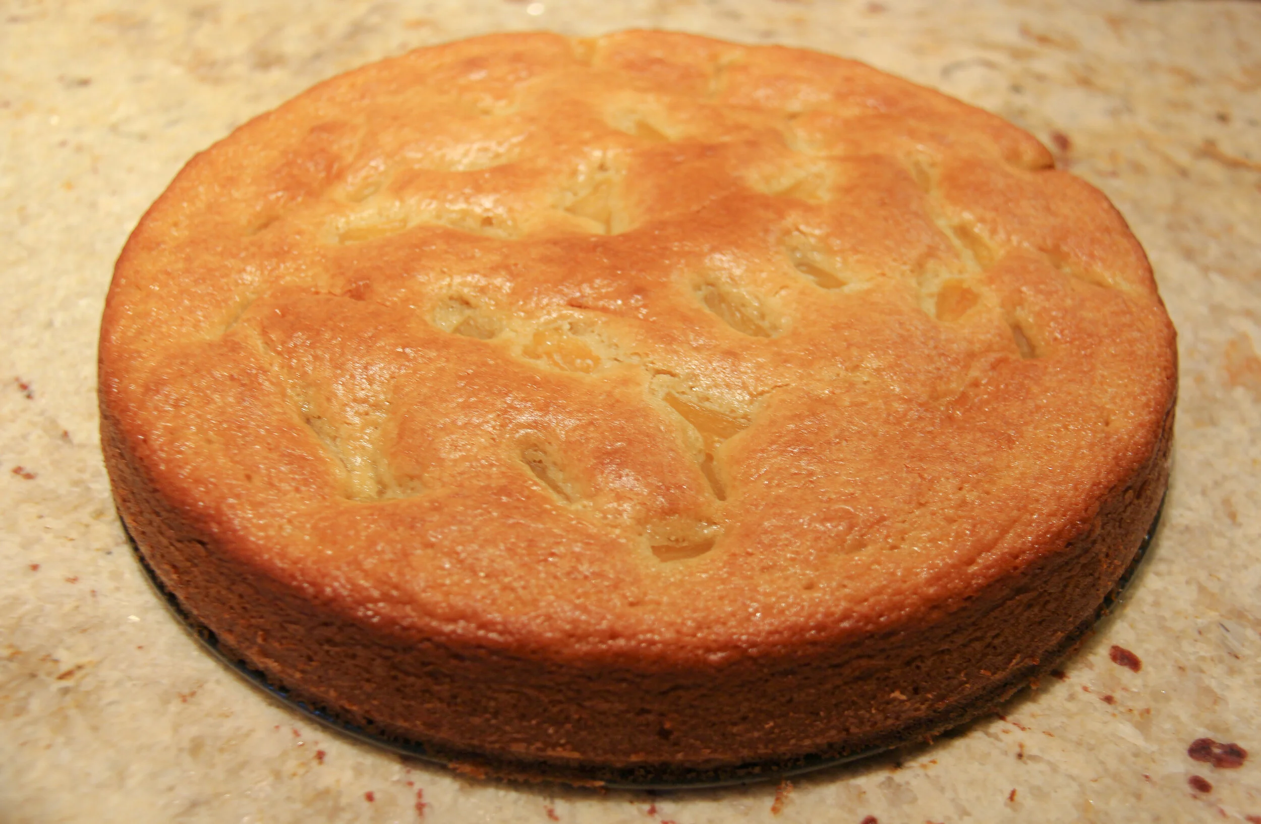 Pineapple Gȃteau Au Yaourt Shreya Menon