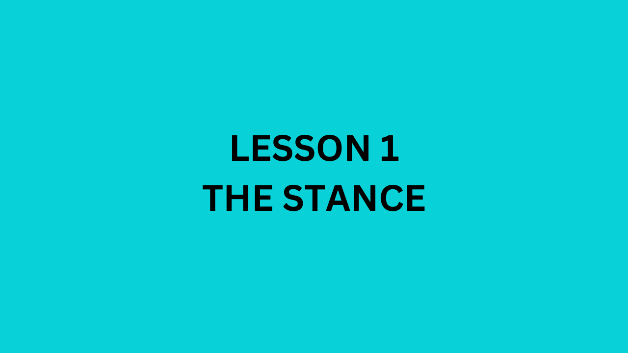 Lesson 1: The Stance