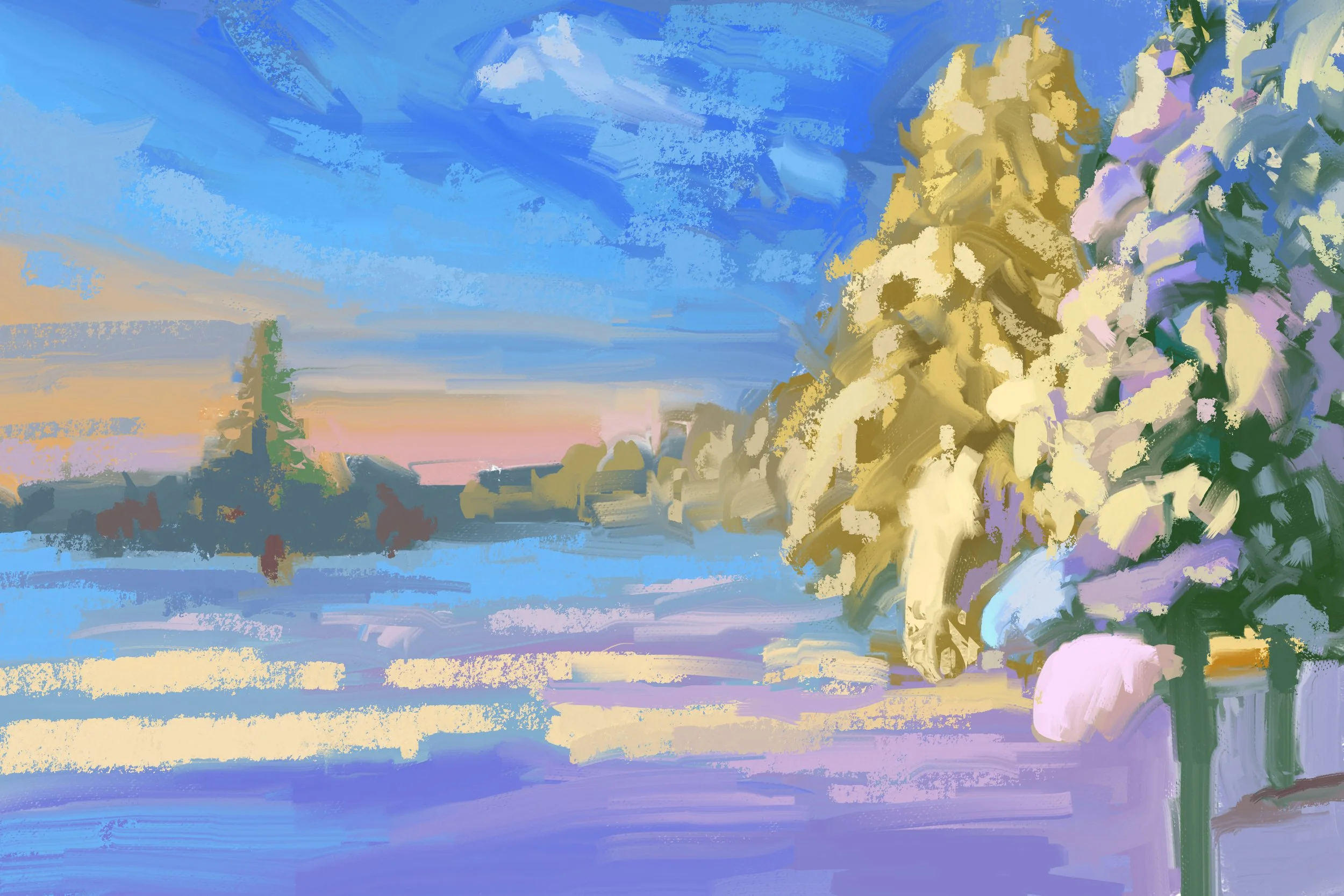 Morning Snow