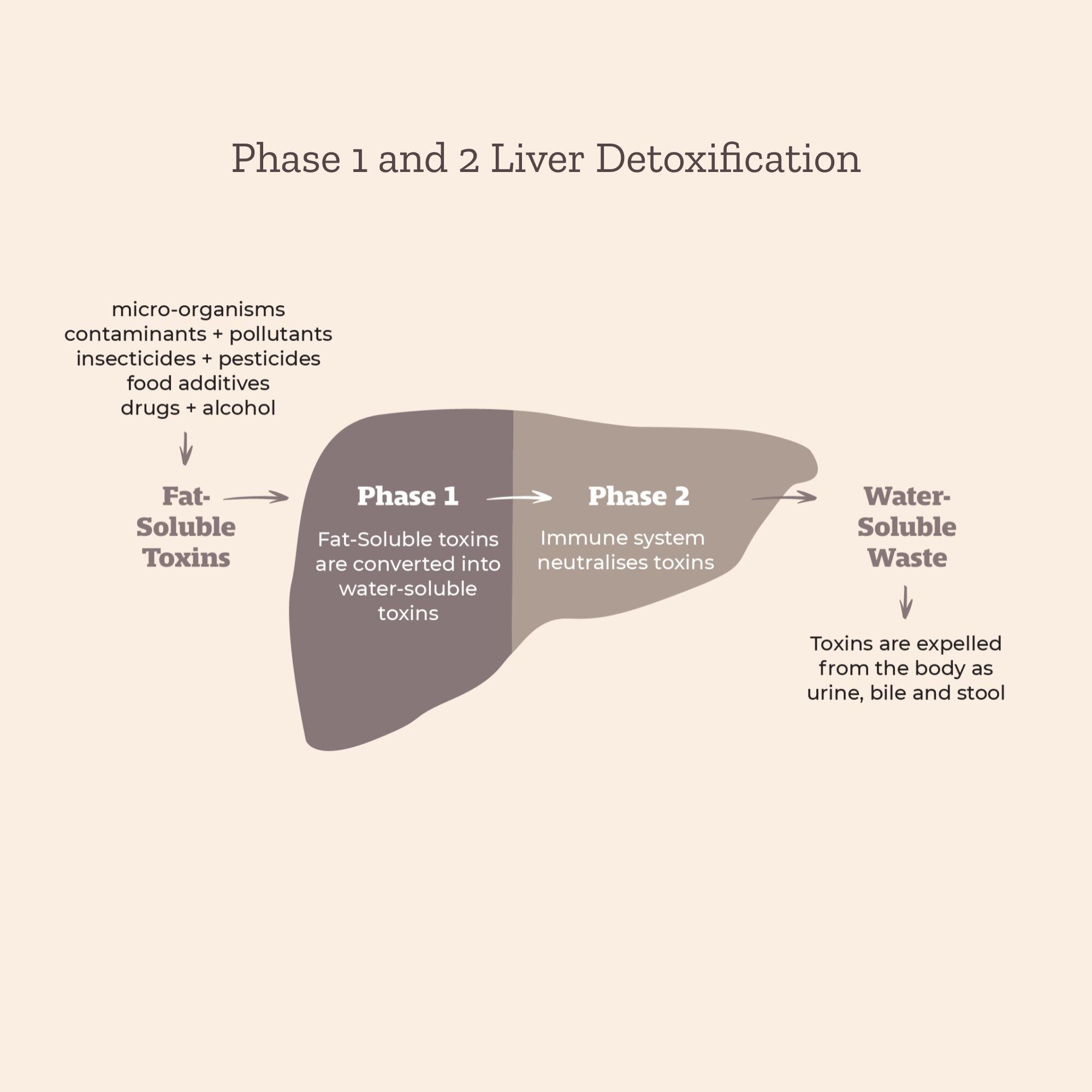 Copy of Social Tiles - 7 Day Detox .jpg