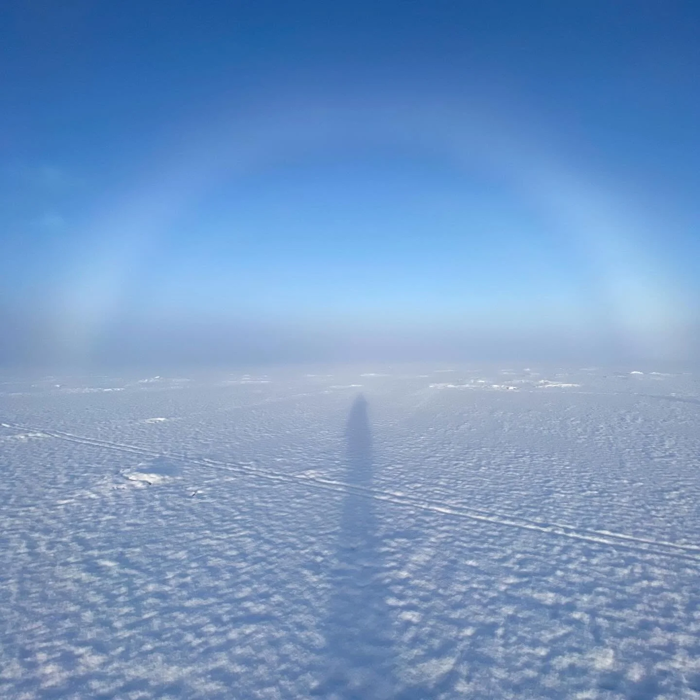 ✨embodied consent work is grief work✨

In recent days, as I&rsquo;ve returned from offering this practice in a remote community, I&rsquo;ve been deep in a process of metabolizing grief, now a familiar friend in the wake of my father&rsquo;s passing. 