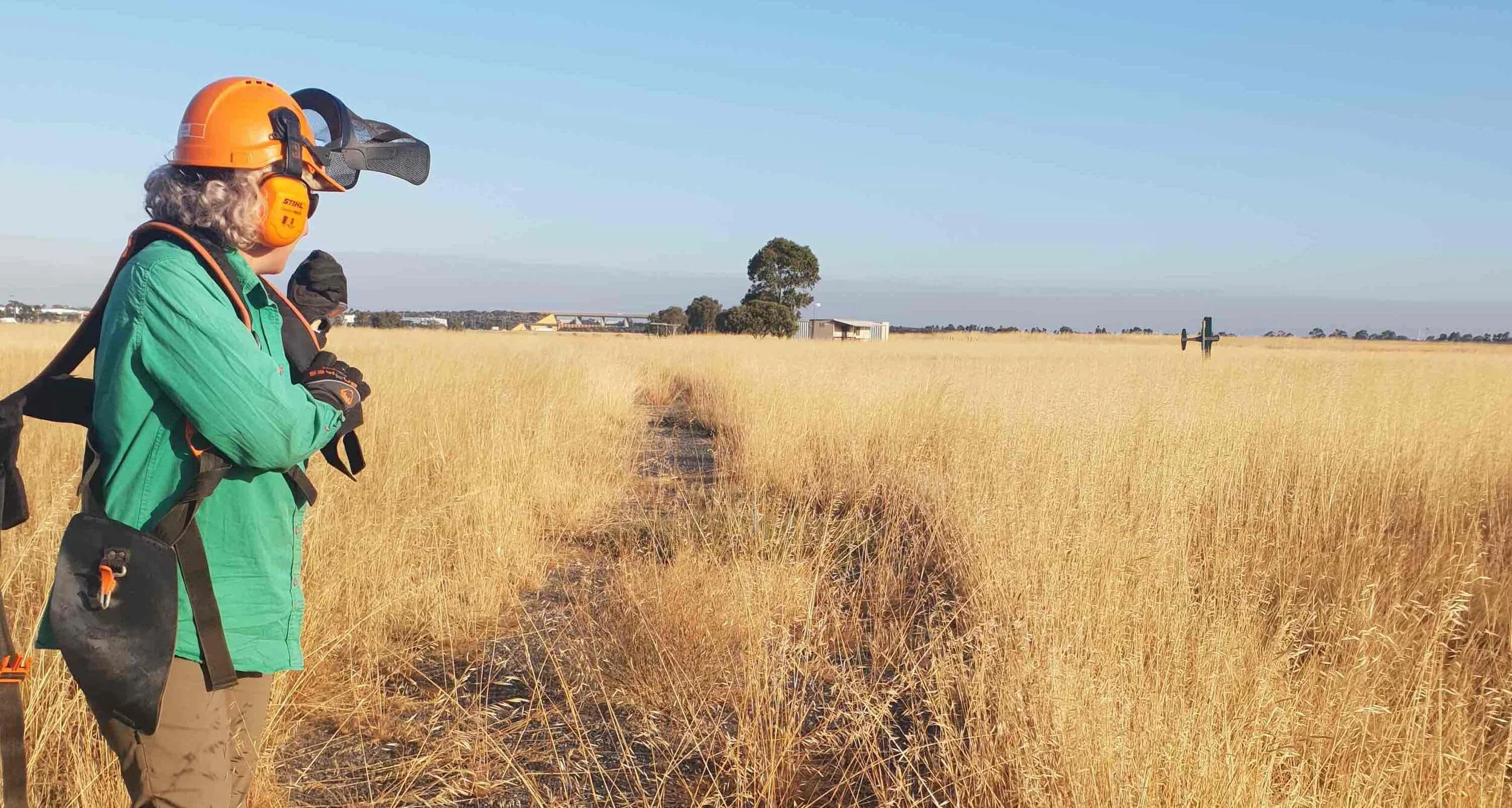 Victorian-Ecosystem-Services-Crew.jpg