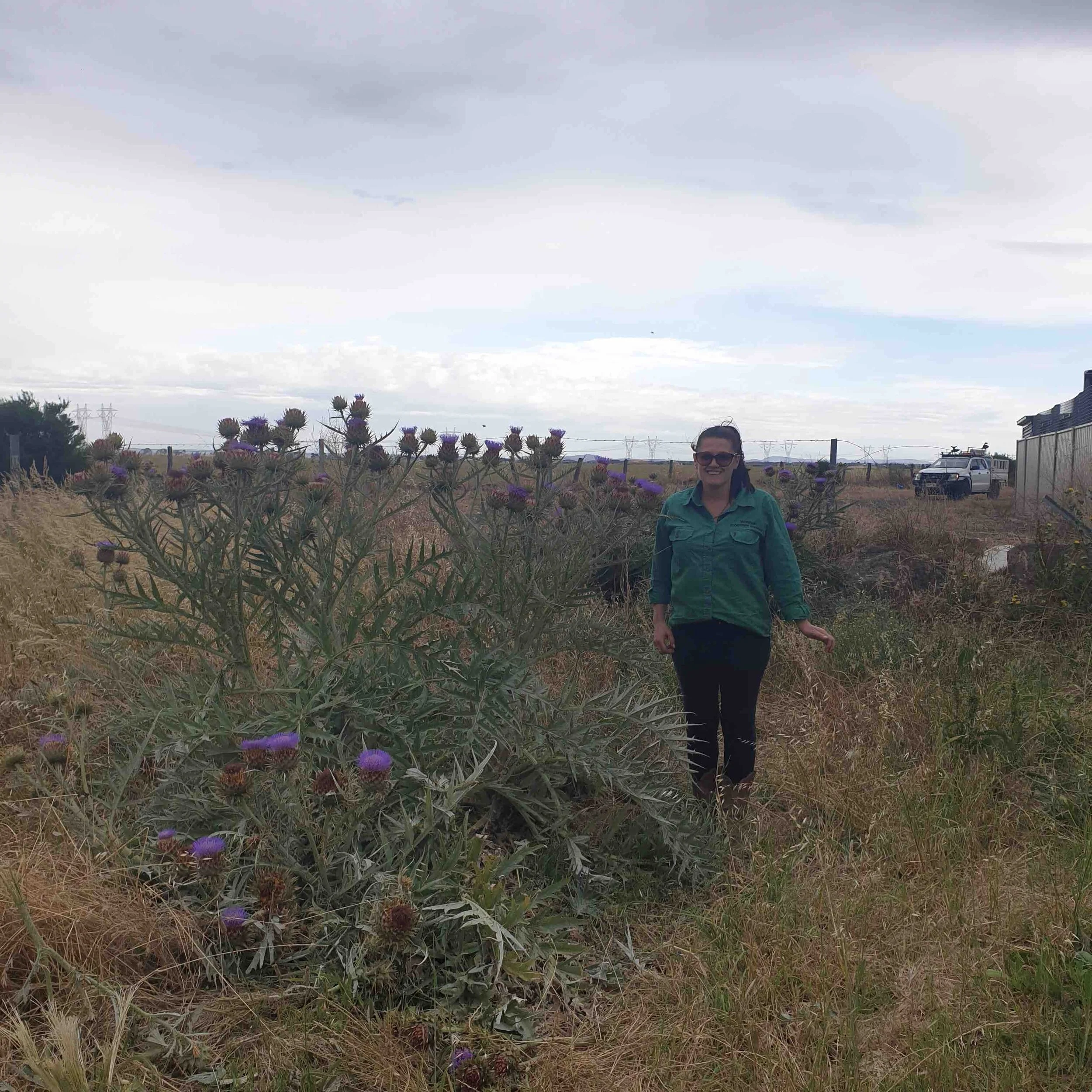 Fuel Hazard Reduction and Weed control