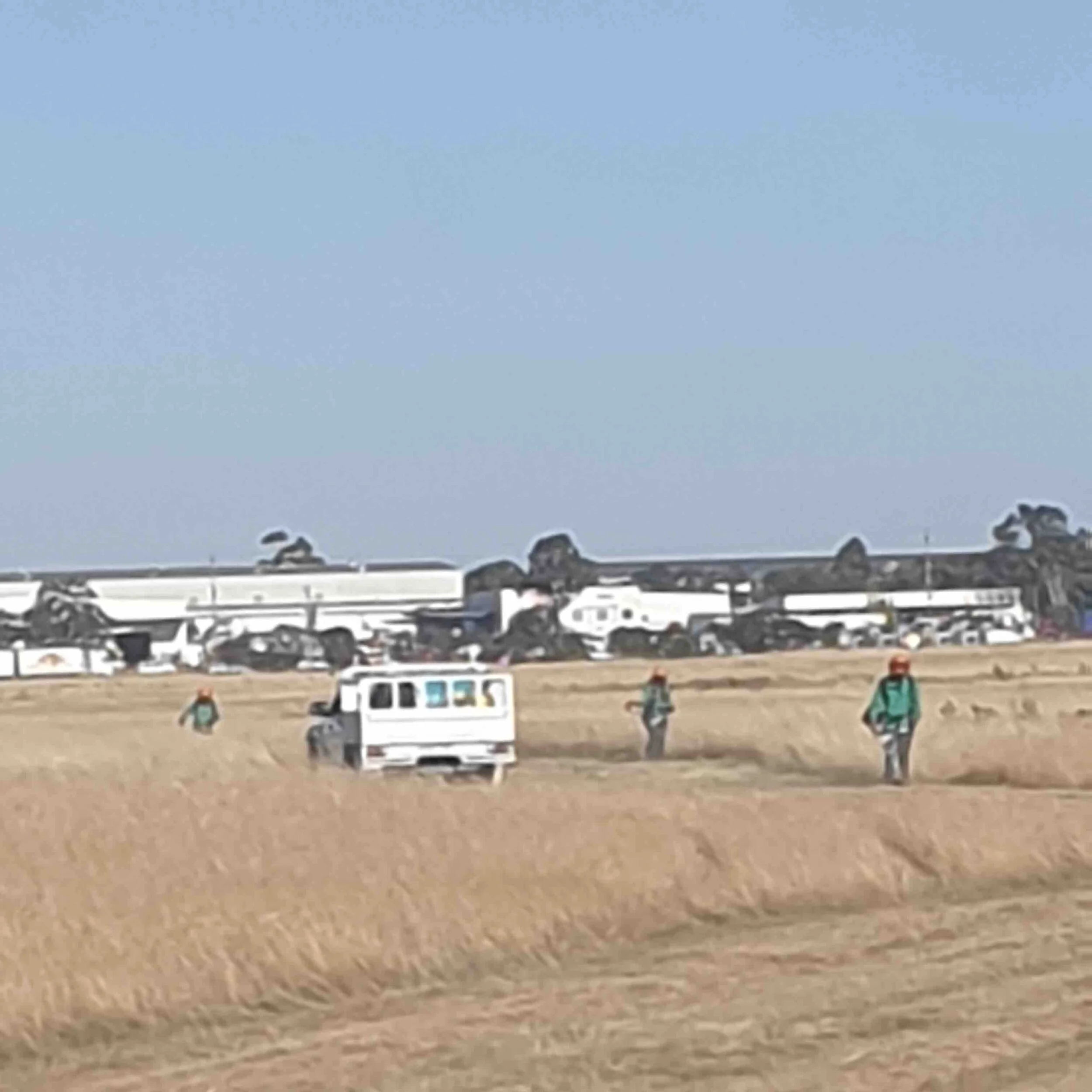 Fuel Hazard Reduction