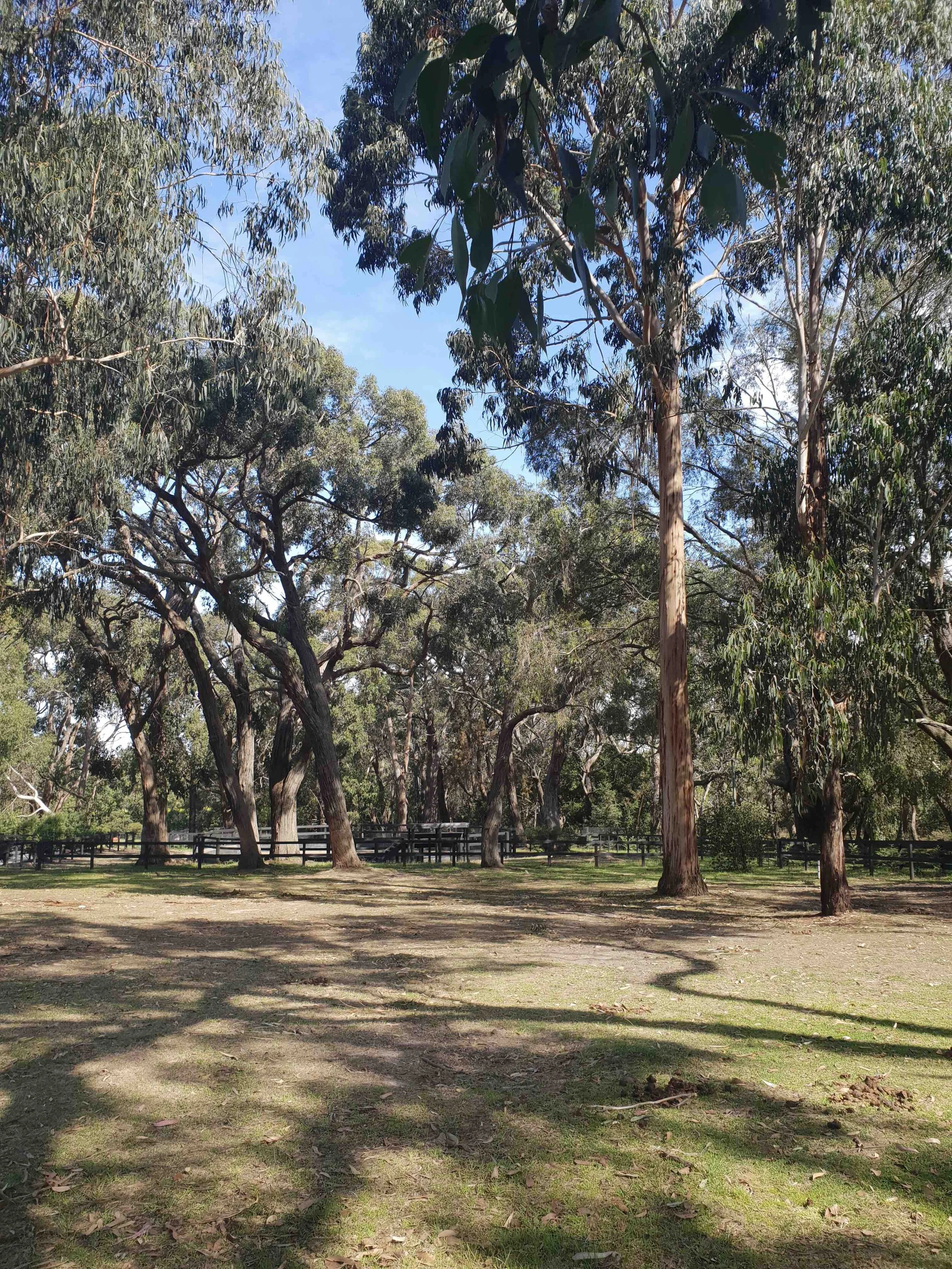 BAL Assessment Mornington Peninsula