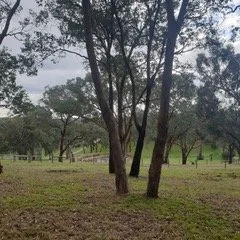 BAL Assessment Warrandyte South May 2022