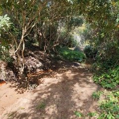 BAL Assessment Mt Eliza Mornington Peninsula June 2022