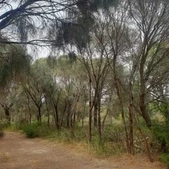 BAL Assessment Mt Martha Mornington Peninsula February 2023