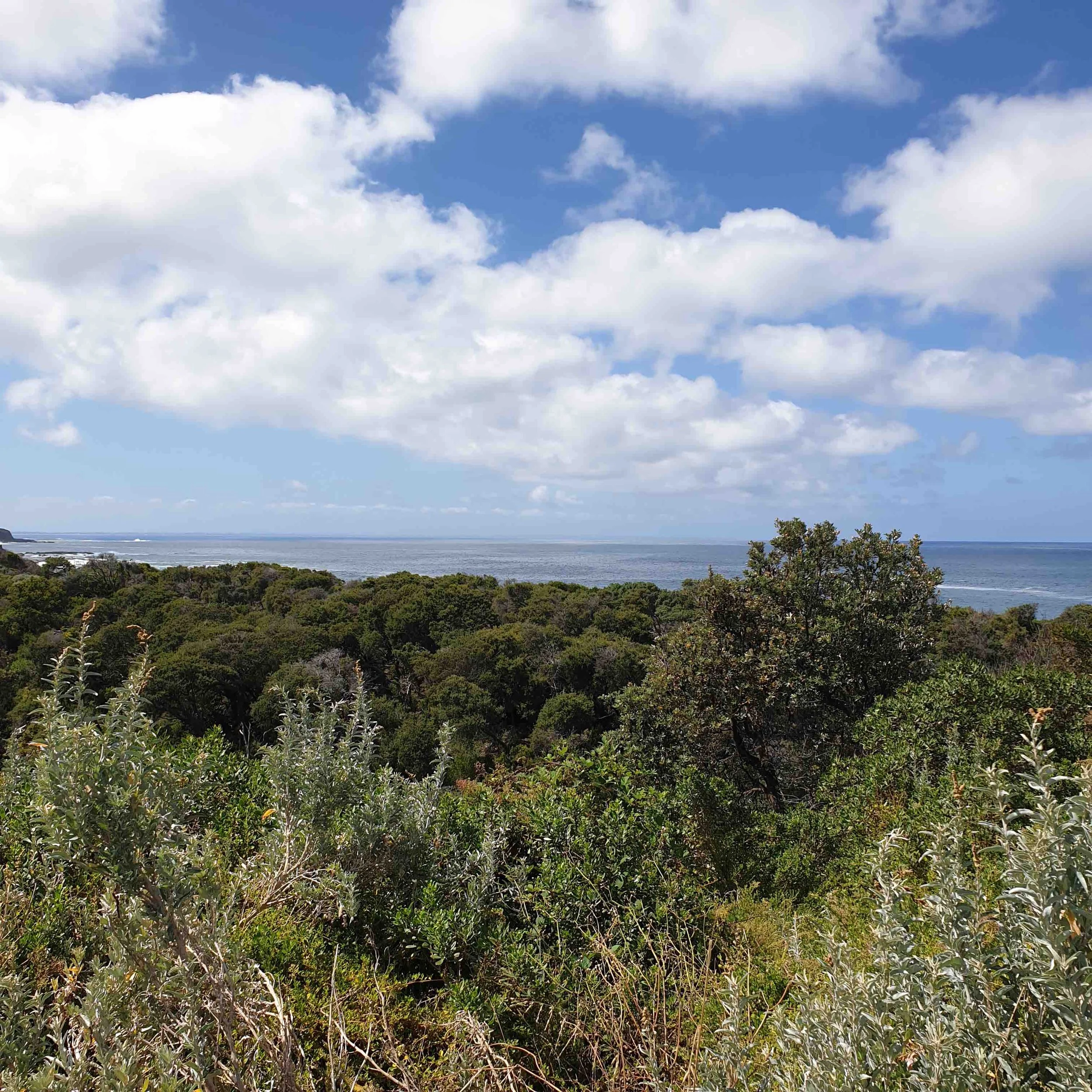 BAL Assessment Cape Paterson Bass Coast March 2023