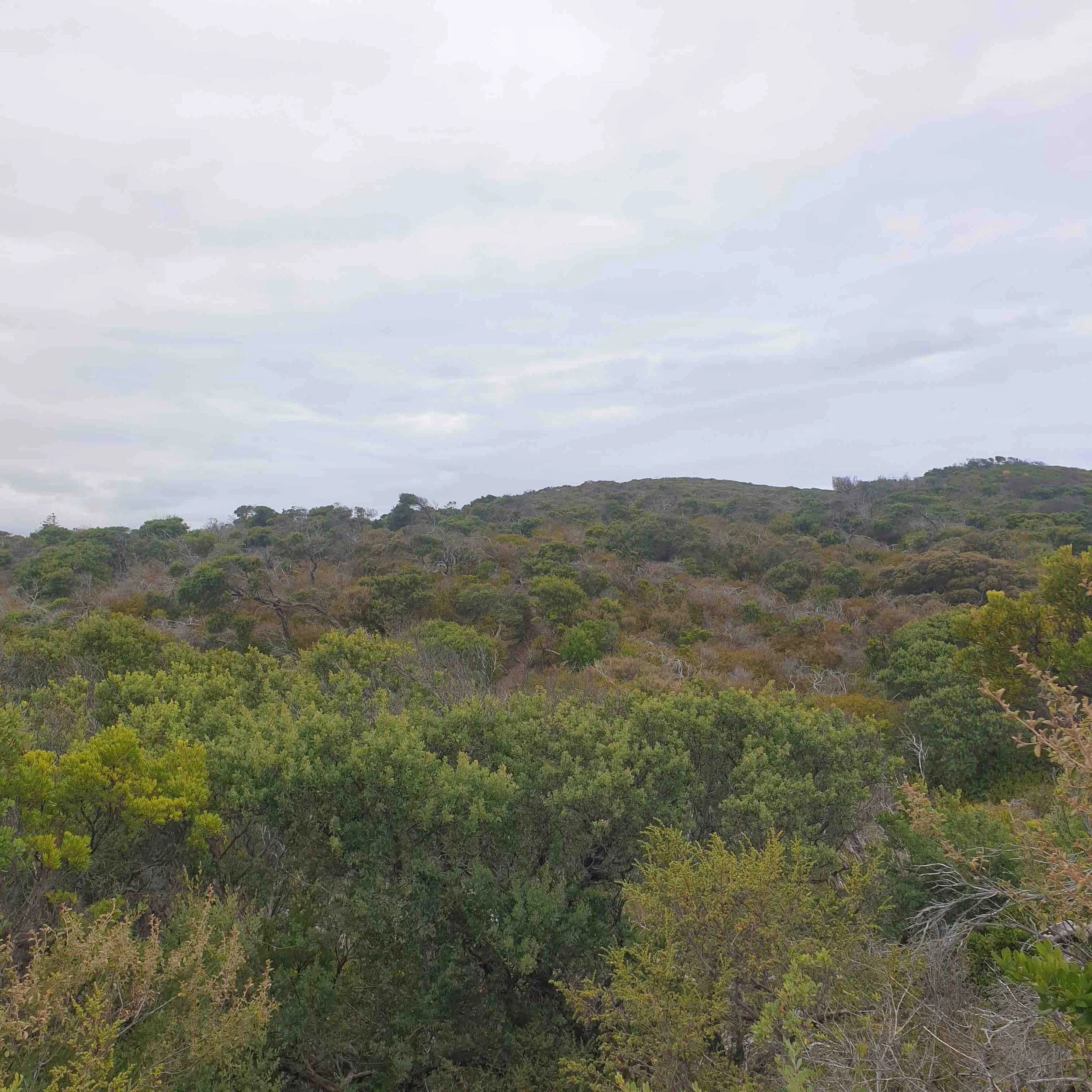 BAL Assessment Blairgowrie Mornington Peninsula April 2023
