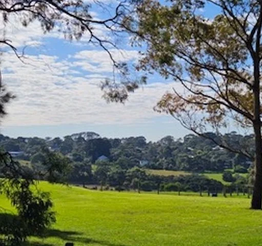 Bushfire Management Statement Shoreham Mornington Peninsula May 2023