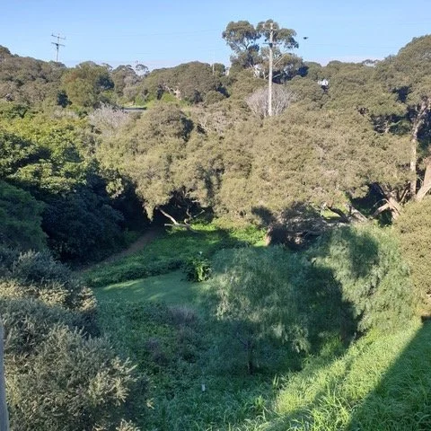 BAL Assessment Sorrento Mornington Peninsula January 2024