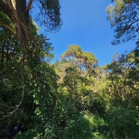 BAL Assessment Merricks Mornington Peninsula November 2023