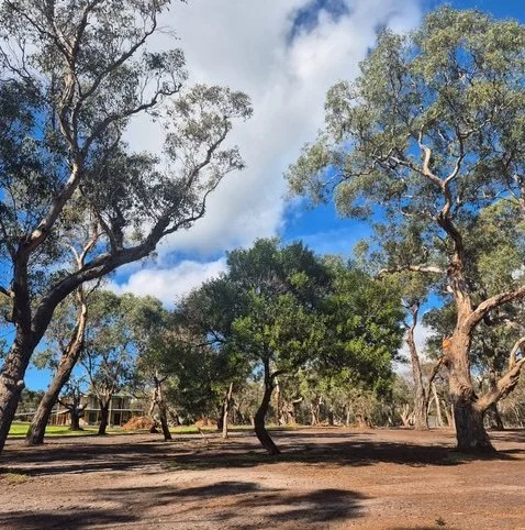 BAL Assessment Mount Martha Mornington Peninsula June 2025