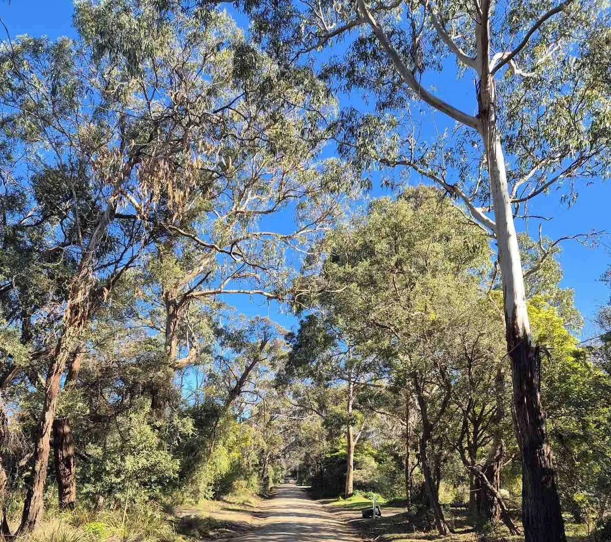 Bushfire Emergency Management Plans for the Mornington Peninsula September 2025