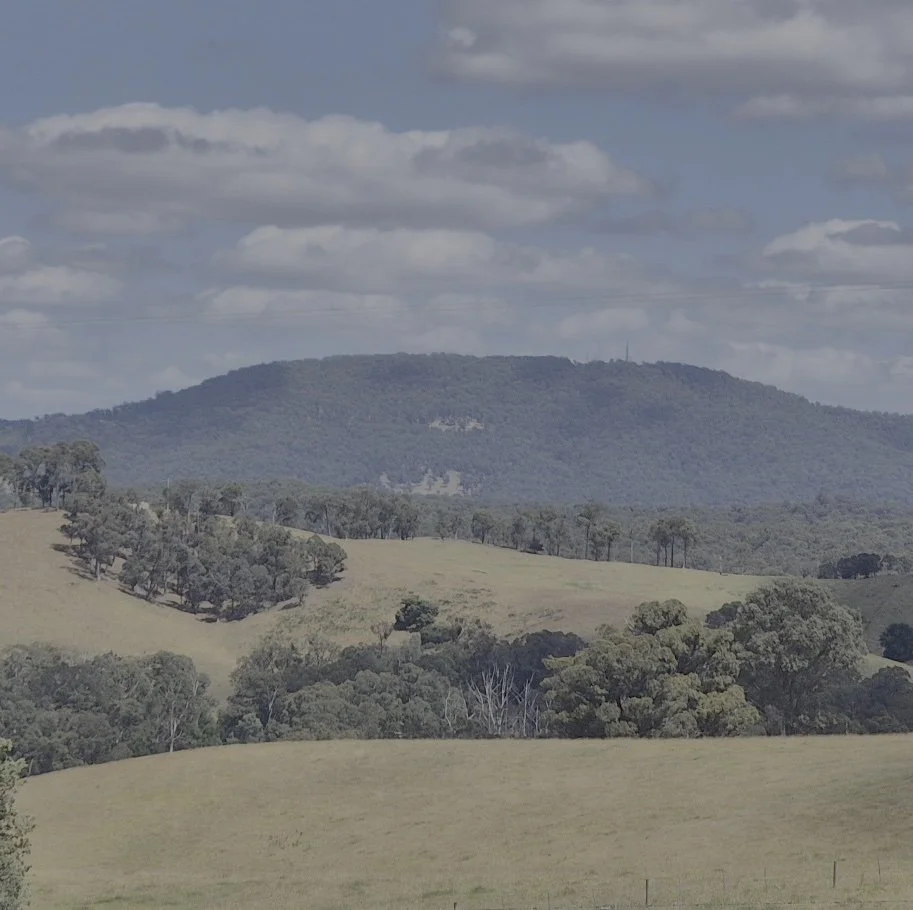 Bushfire Management Statement Mt Martha Mornington Peninsula February 2026