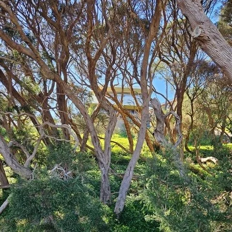 BAL Assessment Rye Mornington Peninsula October 2025