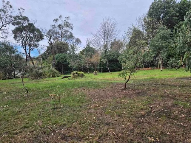 Back yard in Mt Eliza