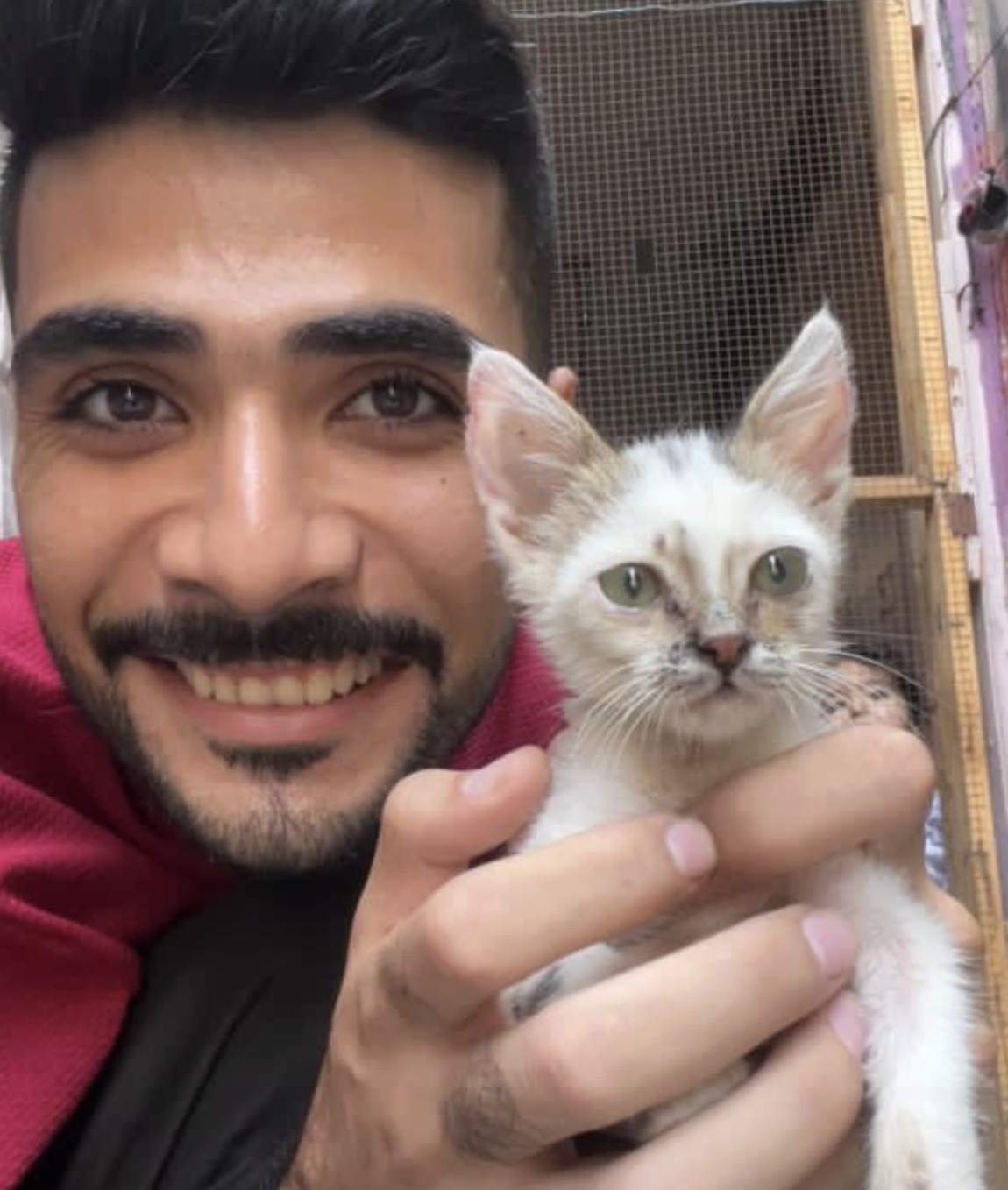 Rescuing cats during the Gaza genocide