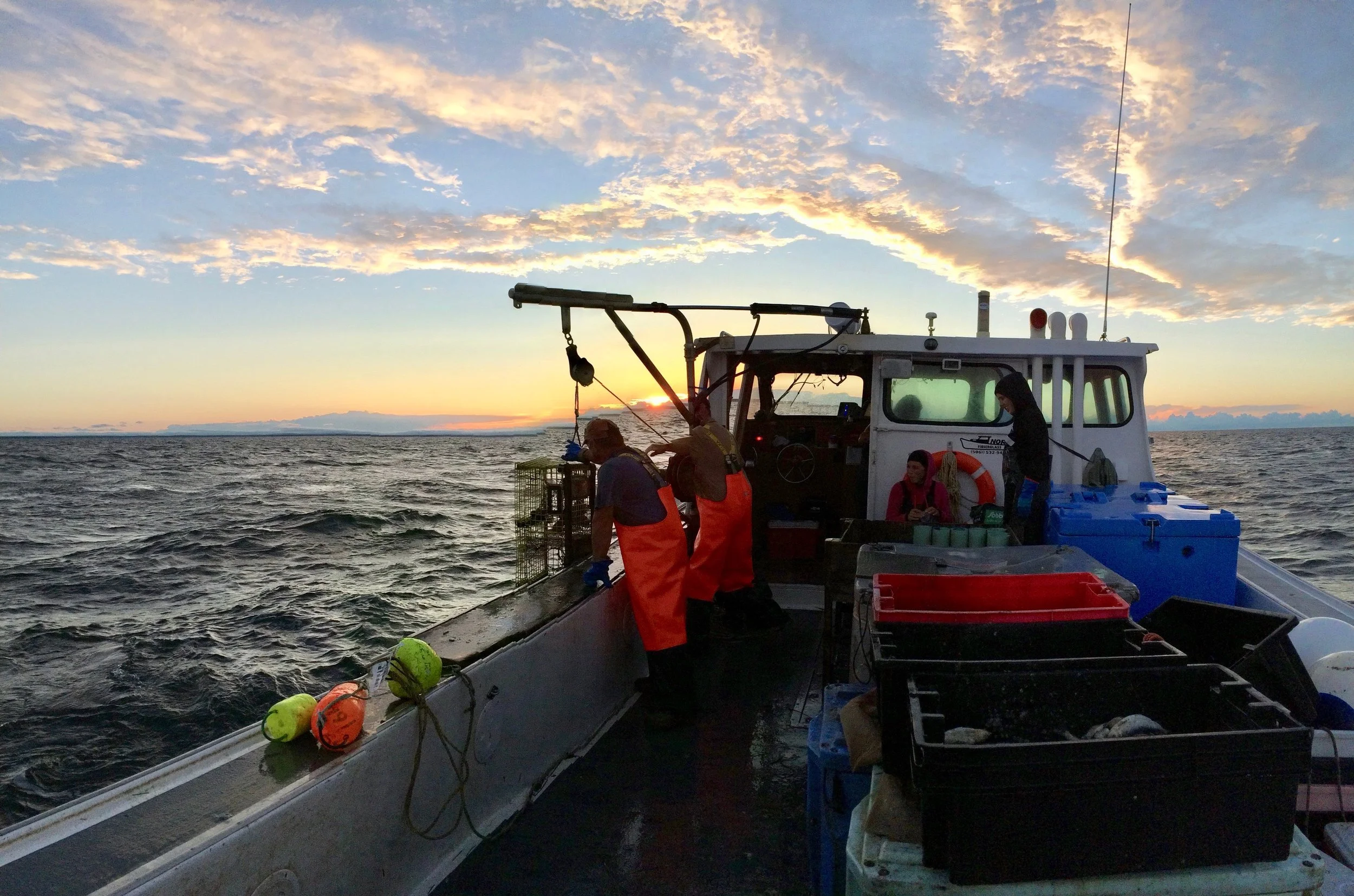 COMMUNITY IMPACT PROGRAM PAGE.jpeg