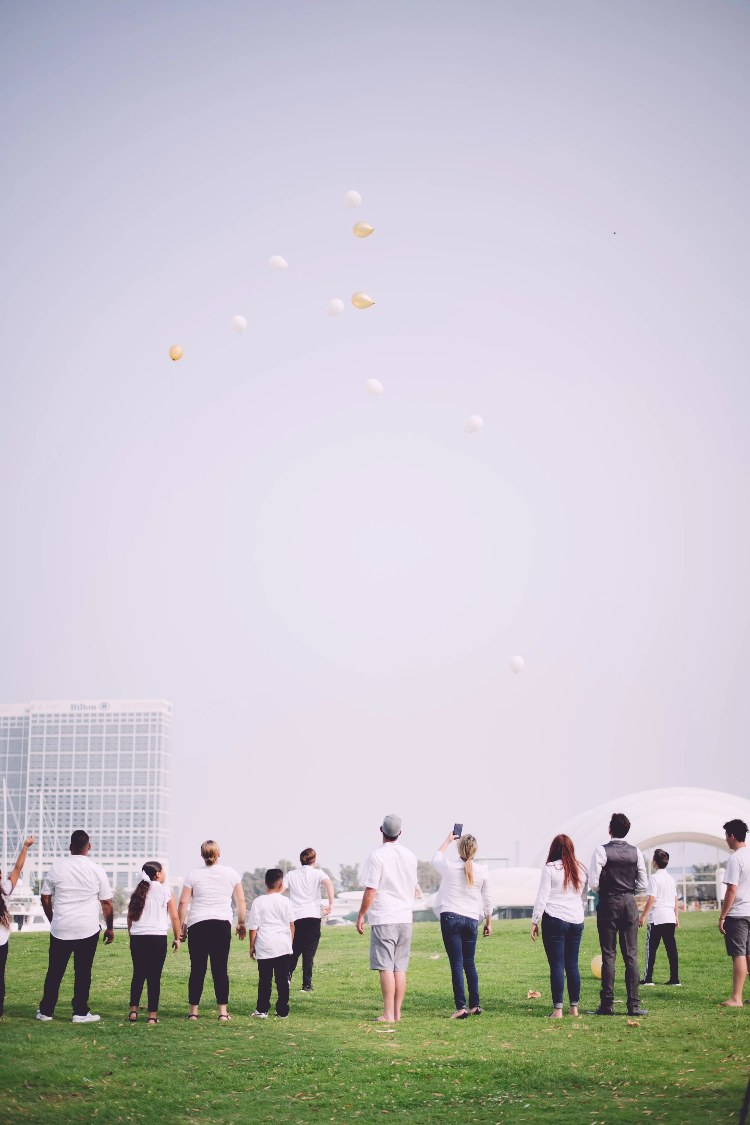 D85_5275-2.jpg
