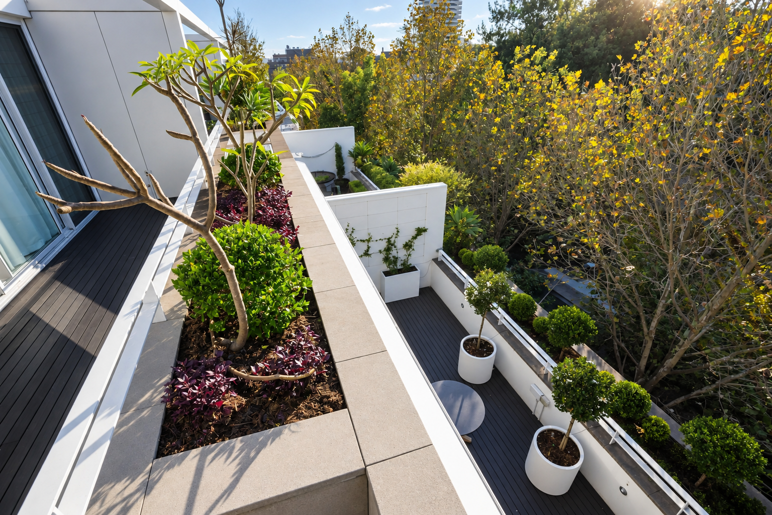 terrace 2.png