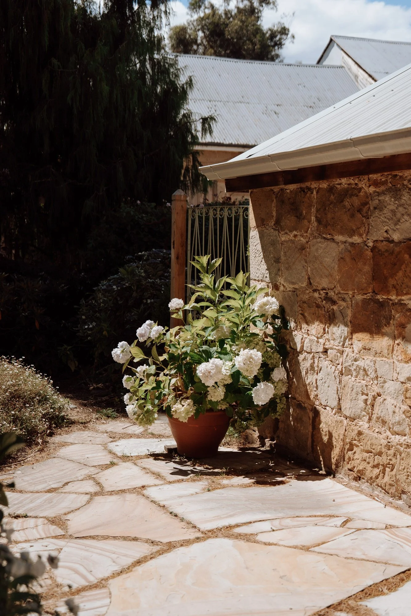 Ellie + Myles-145.jpg