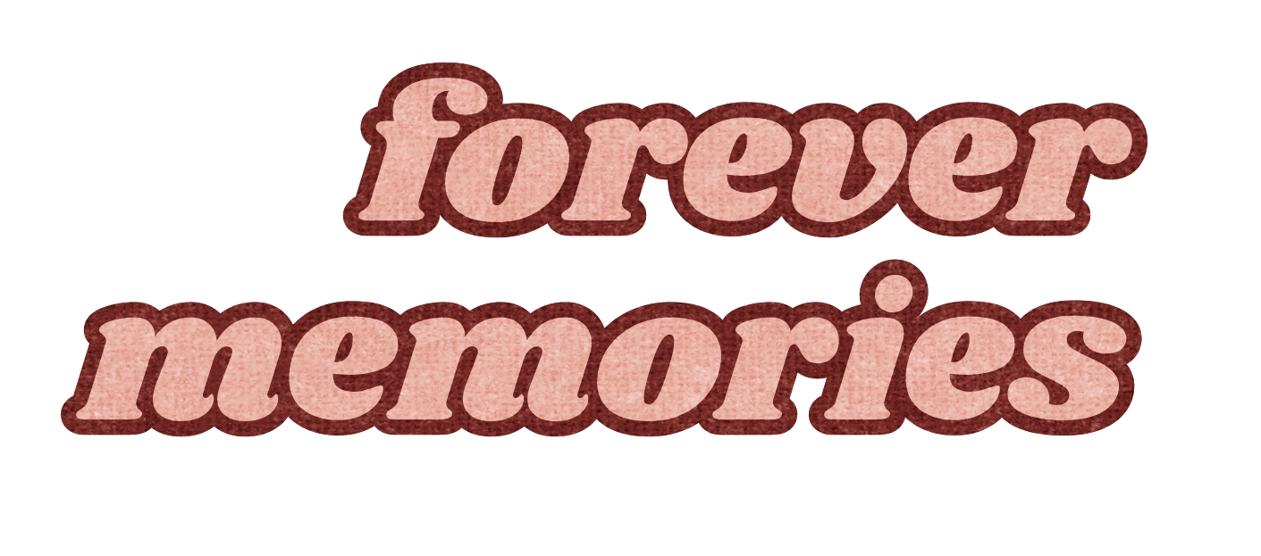 Wedding Photographer Tasmania, candid, luxury,timeless wedding photography in Tasmania