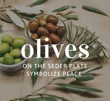 olives for peace.jpg