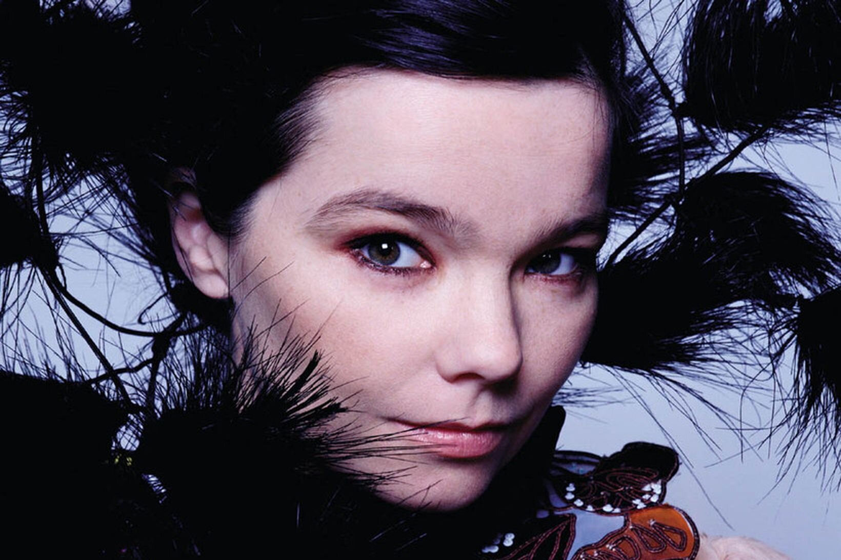 Björk Guðmundsdóttir, renowned Icelandic singer