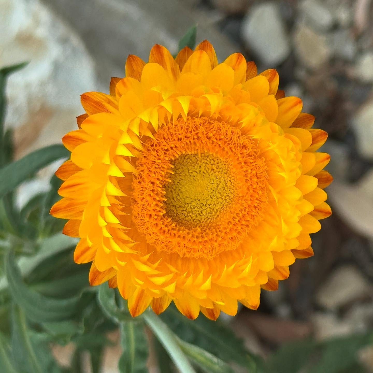 I hope summer&rsquo;s going well for you so far 🧡