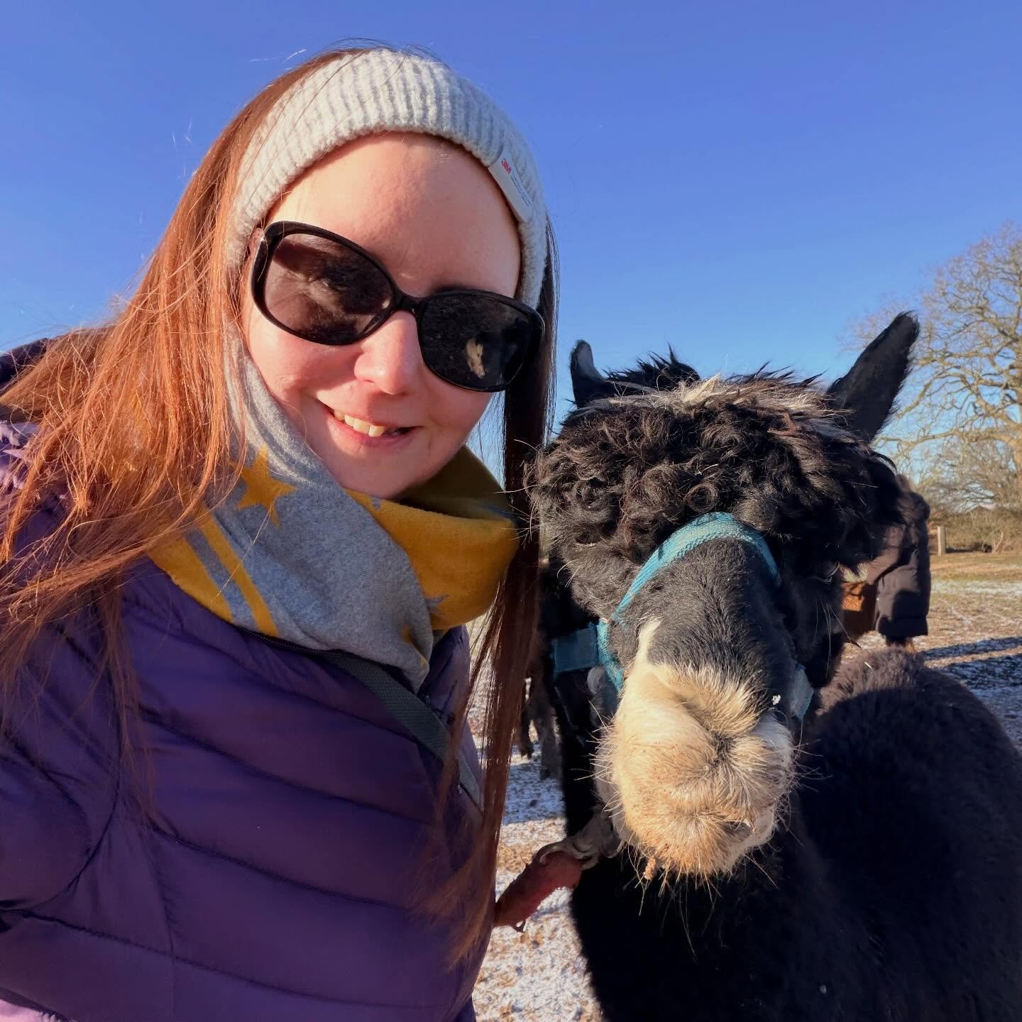 Social media break over but - still planning less time here than before&hellip; meanwhile here&rsquo;s me with Chewbacca the Alpaca 🦙 We had a very pleasant walk together. I let him lead ❤️