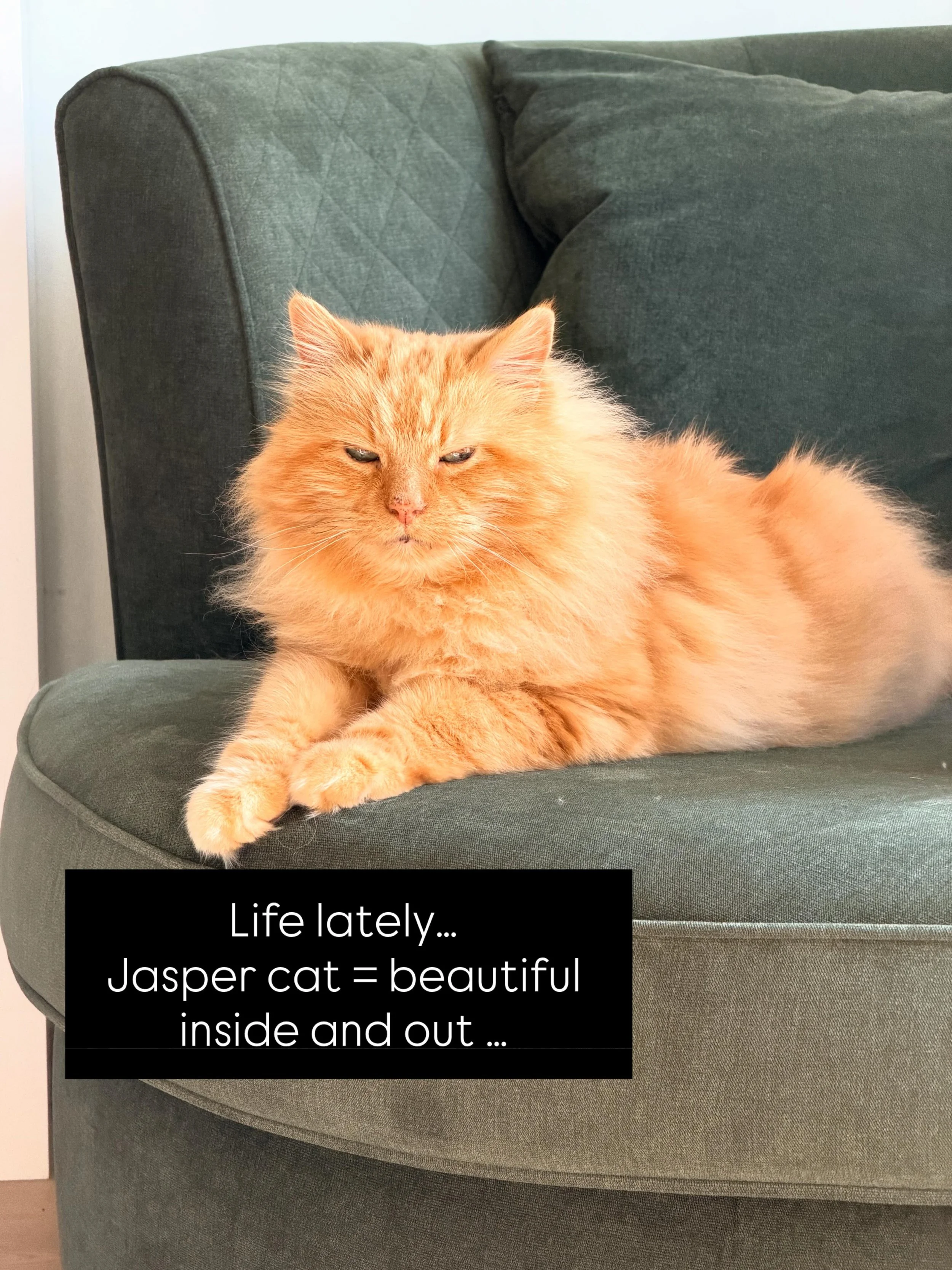 I&rsquo;ve been a little quiet on here. I&rsquo;ve felt quite tired, emotional, unable to focus&hellip; but I am still finding joy in many things&hellip;..