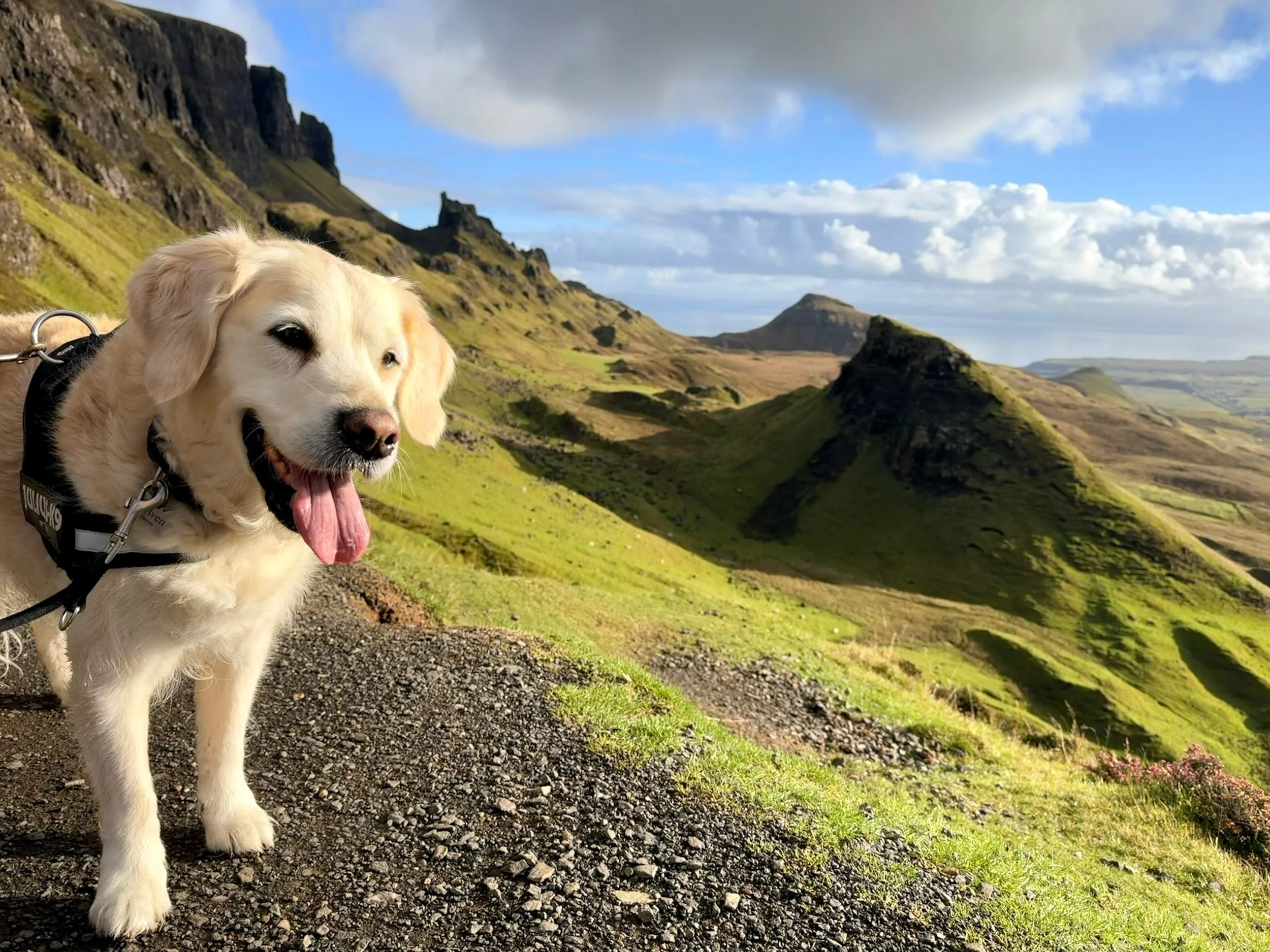 The Isle of Skye - absolutely beautiful 💚🏴󠁧󠁢󠁳󠁣󠁴󠁿🤩
.
#skye #isleofskyescotland #isleofskye #scotland #uktravel