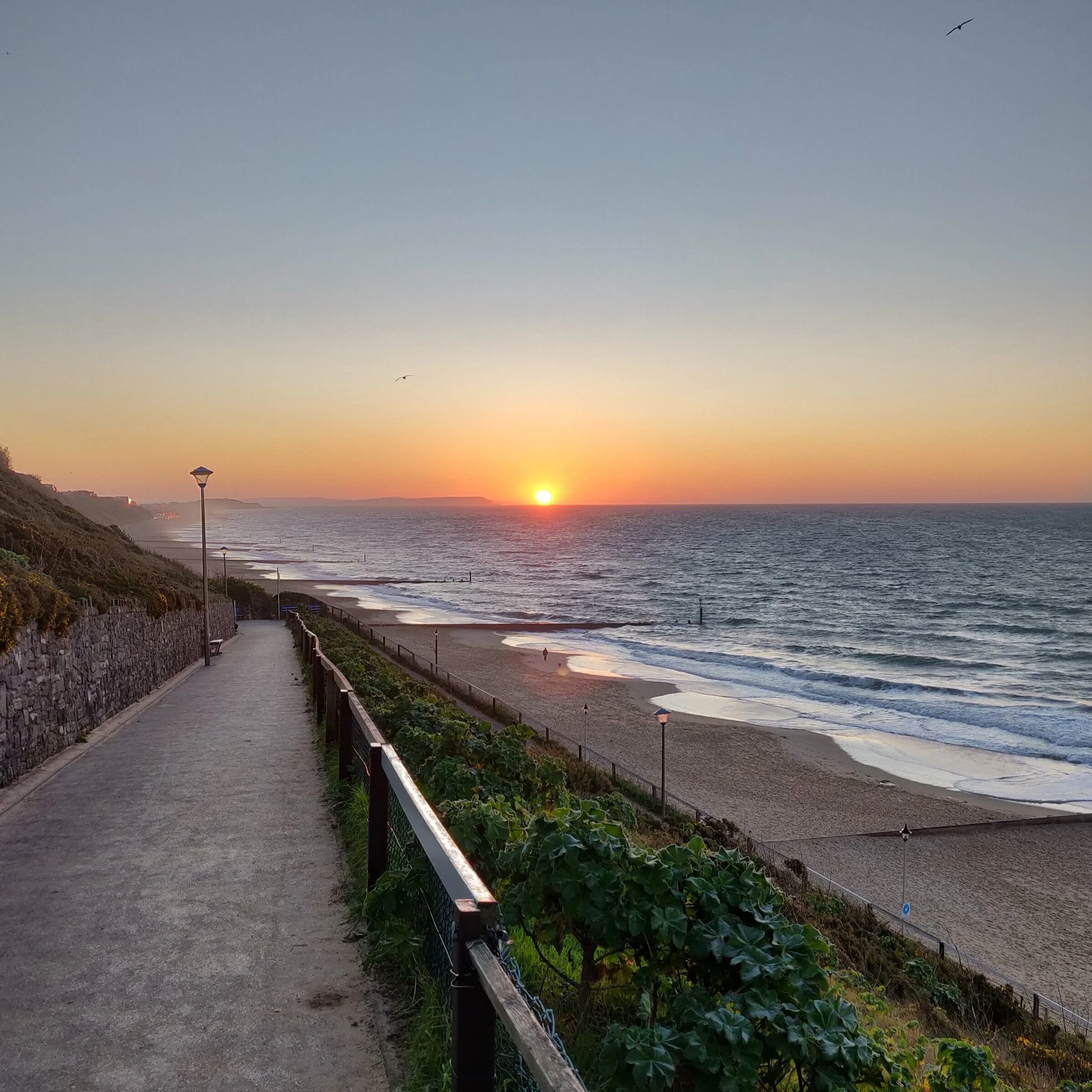 (What’s the story) morning glory?