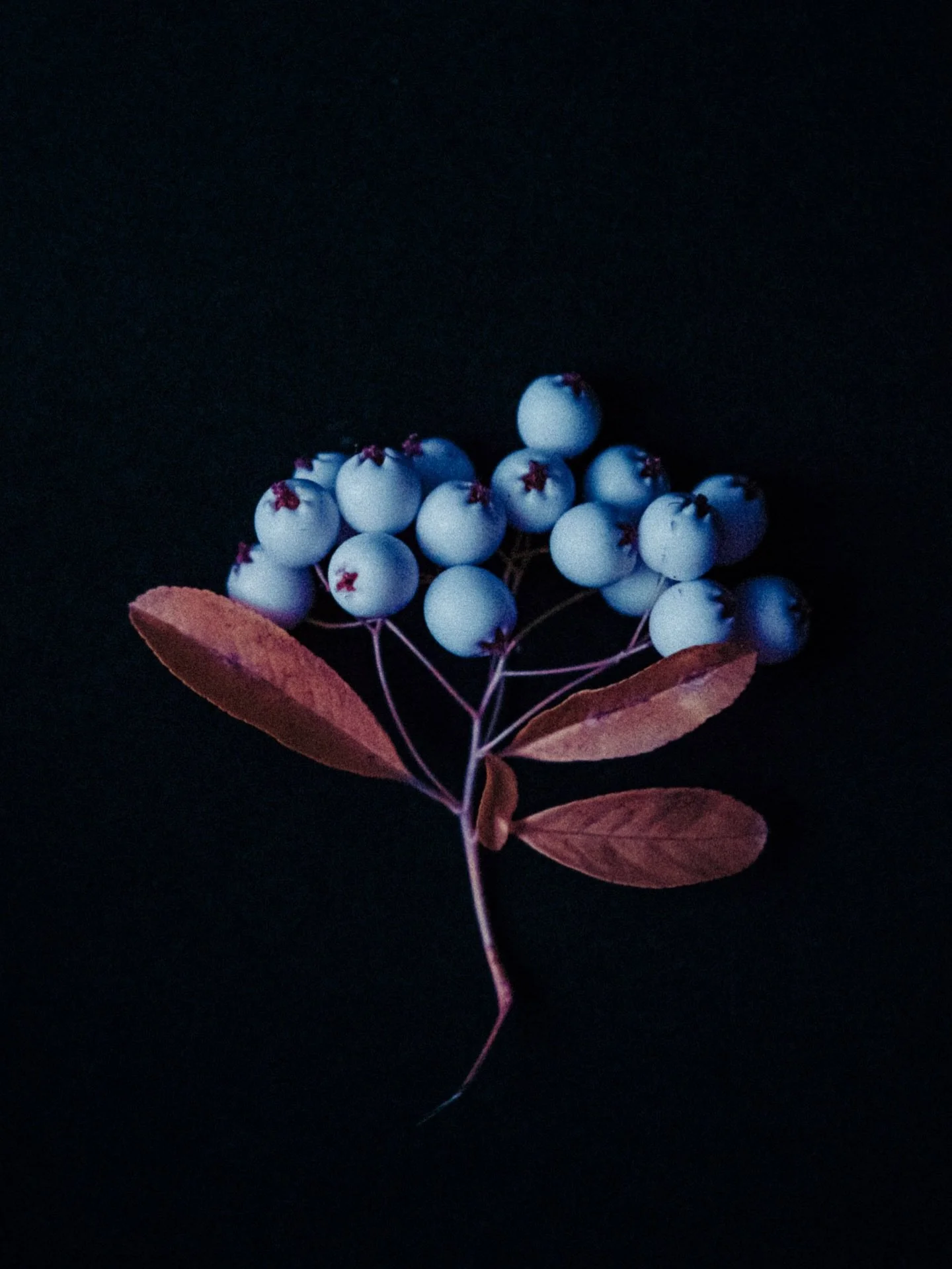 Byebye 2025, welcome 2026! &mdash; What a year 2025 was. So many adventures, lovely people and exciting projects. Thanks to all the love and support from each oke of you. So happy for the year ahead with hopefully the same amount of awesomeness 🩵
.
