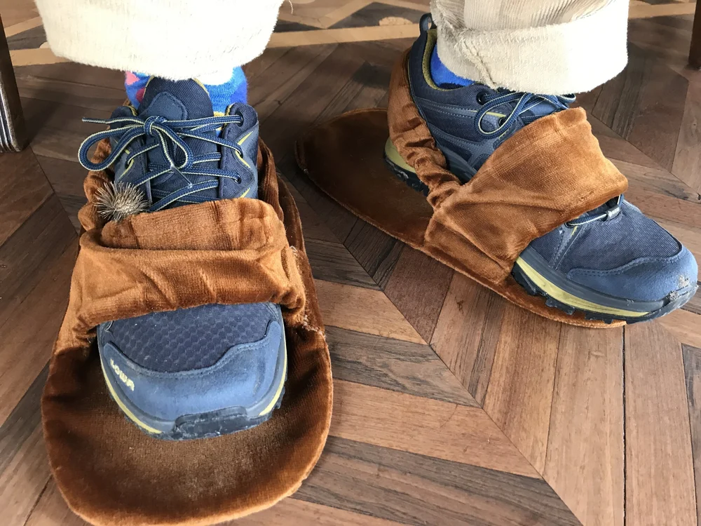 op stap in eigen land 1.JPG