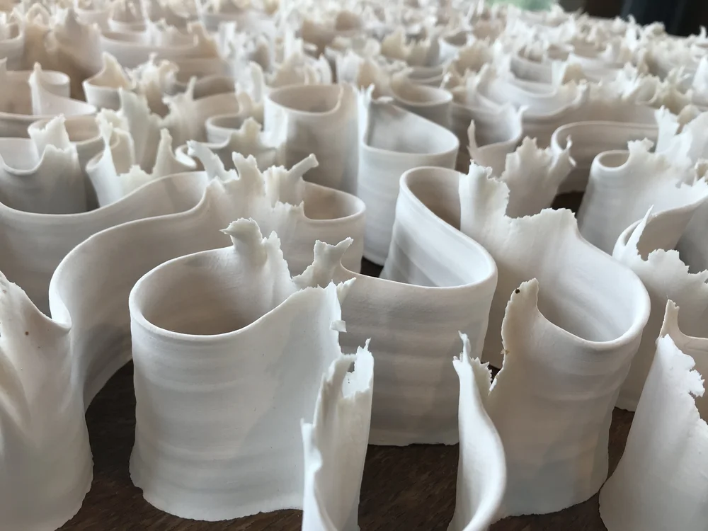 op stap in eigen land 2.JPG