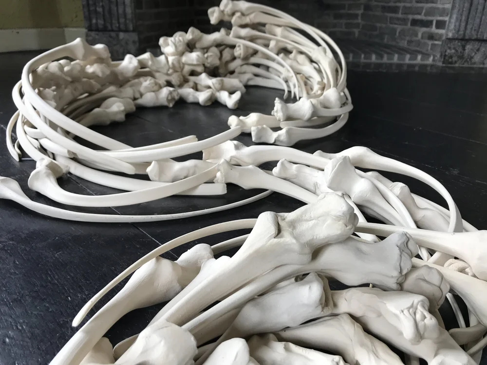 op stap in eigen land 7.JPG