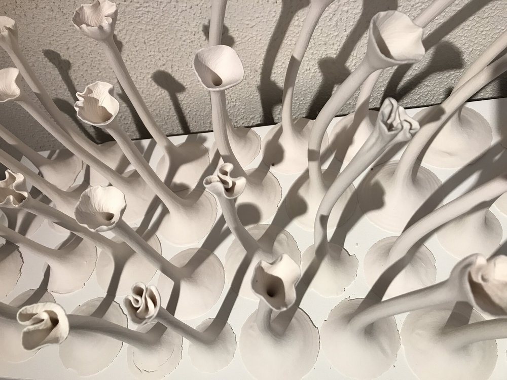 op stap in eigen land 9.JPG