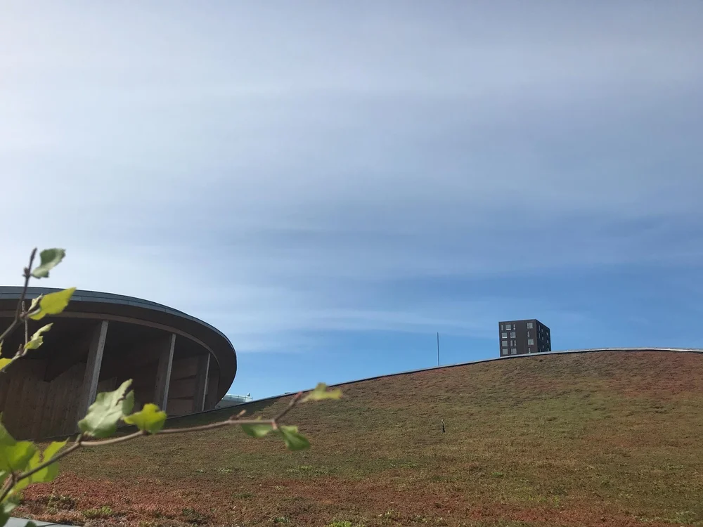 Museum HC Andersen Odense impressie.jpg